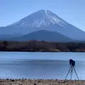 精進湖の写真_479117