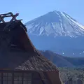 西湖いやしの里の写真_479119