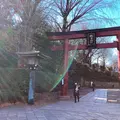 根津神社の写真_480591