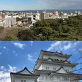 小田原城の写真_480903