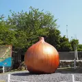 道の駅 うずしおの写真_481721