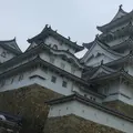 姫路城の写真_481813