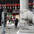 護王神社の写真_482929