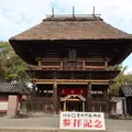 青井阿蘇神社の写真_491797
