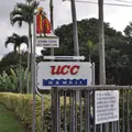 UCC Hawaiiの写真_493715