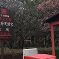 太宰府天満宮の写真_494650