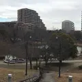 徳生公園の写真_495127