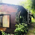 三内ハウスの写真_501736