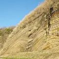 地層大切断面の写真_502819