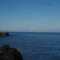 秋の浜遊泳場の写真_502821