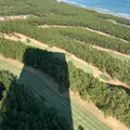 トム・ワトソンゴルフコースの写真_507907