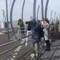 羽田空港国際ターミル 展望デッキの写真_512376