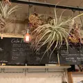 Delicatessen 三月の水の写真_515130