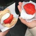 天山 本店の写真_515143