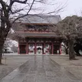 池上本門寺仁王門の写真_515731