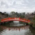 神泉苑の写真_516115