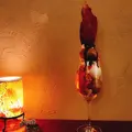 SUGiTORAの写真_516126