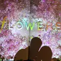 日本橋三井ホールの写真_517062