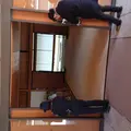 京都御苑の写真_520555
