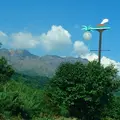 桜島の写真_522712
