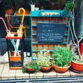 CORNELL コーネルの写真_522987