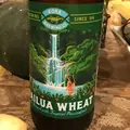 Kona Brewing Co.の写真_523490