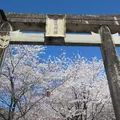 菊池神社参道の写真_526490