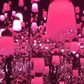 【閉業】森ビルデジタルアートミュージアム：エプソン チームラボボーダレス（MORI Building Digital Art Museum: EPSON teamLab Borderless）の写真_527377
