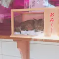 住吉神社社務所の写真_528654