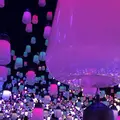 【閉業】森ビルデジタルアートミュージアム：エプソン チームラボボーダレス（MORI Building Digital Art Museum: EPSON teamLab Borderless）の写真_532745