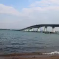道の駅びわ湖大橋米プラザの写真_533714
