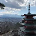 浅間公園の写真_536087