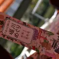 ぐるっと松江堀川めぐりの写真_541792