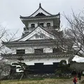 館山城跡の写真_546883