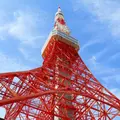 東京タワーの写真_550682