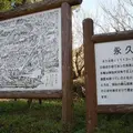 内山永久寺跡の写真_557887