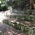 蓮華寺の写真_560195