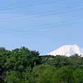 富士山の写真_560257