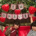 玉城ふれあい農園の写真_560451