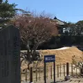 五大堂の写真_560917