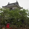 浜松城の写真_561441