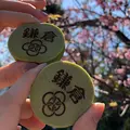 アルブルノワールの写真_562749