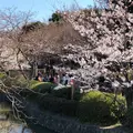 鶴岡八幡宮の写真_562751