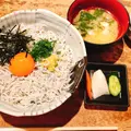 しらすやの写真_562759