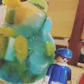 どんぐりの写真_562786