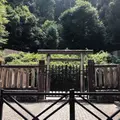 観心寺の写真_563830