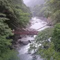 四国の写真_566302