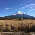 富士山の写真_566328