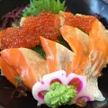 砂丘会館の写真_566703