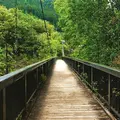 もえぎ橋の写真_567224